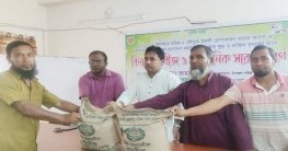 সাঘাটায় বিনামূল্যে বীজ ও সার বিতরণ সাঘাটায় বিনামূল্যে বীজ ও সার বিতরণ